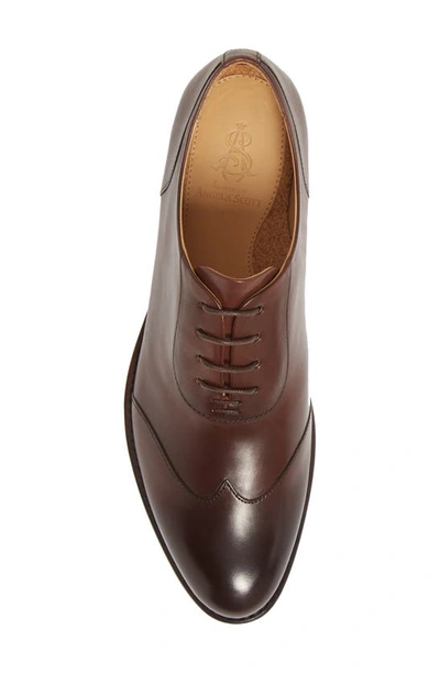 Shop The Office Of Angela Scott Mr. Evans Oxford In Walnut