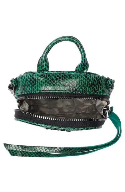 Shop Aimee Kestenberg Chelsea Crossbody Bag In Emerald Snake