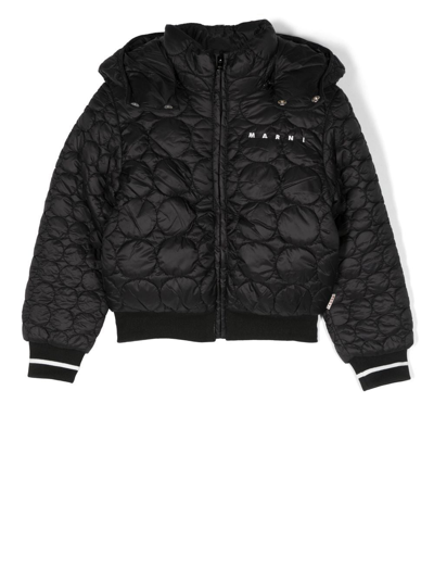 Shop Marni Embroidery-logo Quilted Jacket In Black