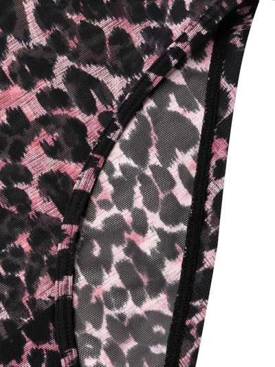Shop Marlies Dekkers Sheer Leopard-print Briefs In Pink