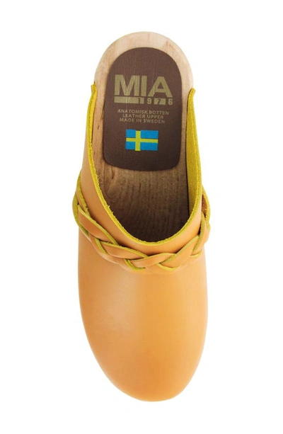 MIA 'ELSA' CLOG 