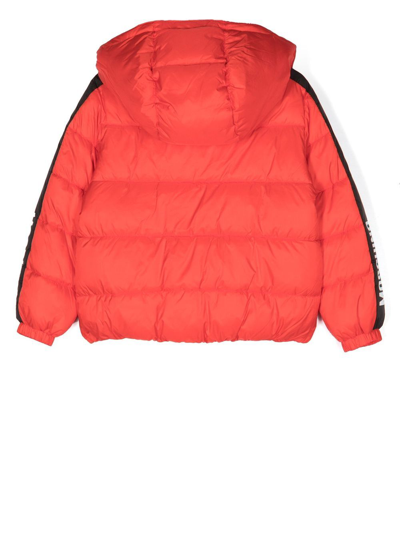 Shop Moschino Toy-bear Patch Padded Jacket In Red