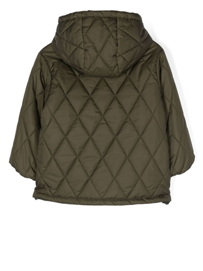 Shop Aspesi Diamond-quilt Hooded Jacket In Green
