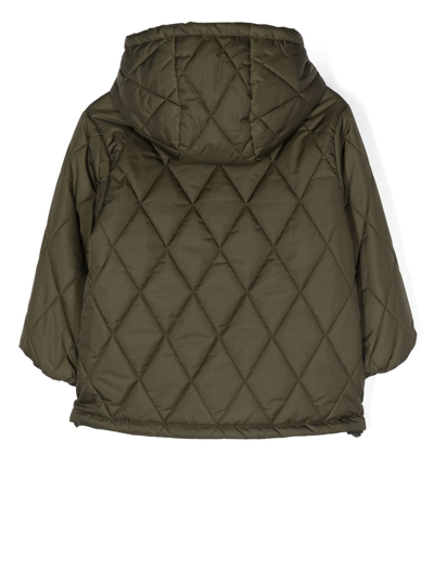 Aspesi Quilted Hooded Puffer Jacket In Green