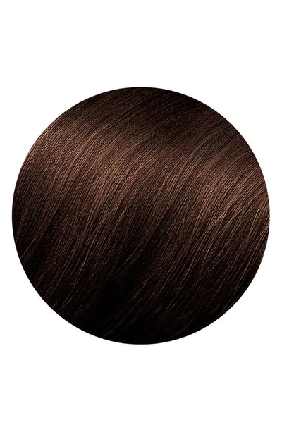 Phyto Color Permanent Hair Color In 4.77 Intense Chestnut Brown