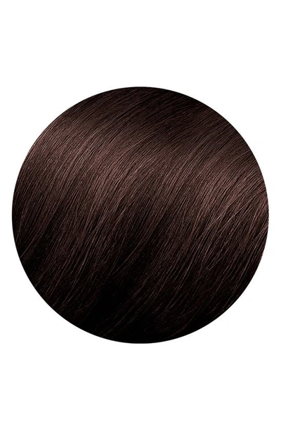 Phyto Color Permanent Hair Color In 4.77 Intense Chestnut Brown