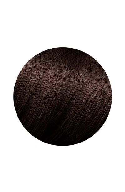 Shop Phyto Color Permanent Hair Color In 4.77 Intense Chestnut Brown