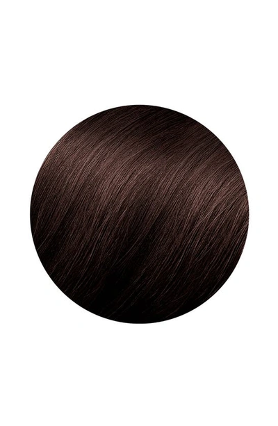 Phyto Color Permanent Hair Color In 4.77 Intense Chestnut Brown