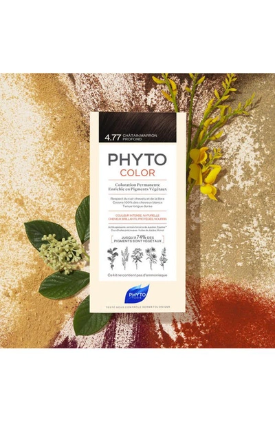 Phyto Color Permanent Hair Color In 4.77 Intense Chestnut Brown
