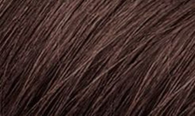 Phyto Color Permanent Hair Color In 4.77 Intense Chestnut Brown