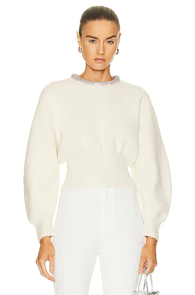 Shop Alexander Wang Crystal Tubular Necklace Sweater In Ivory