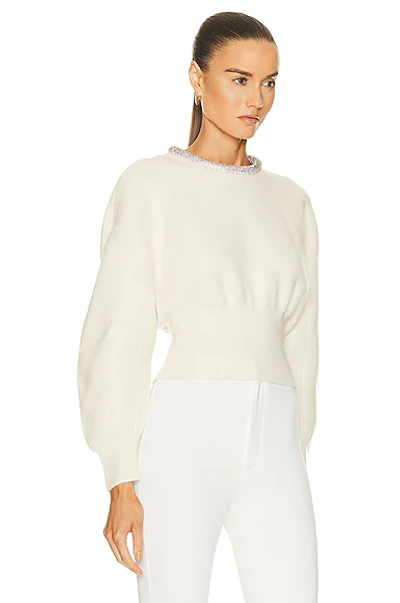 Shop Alexander Wang Crystal Tubular Necklace Sweater In Ivory