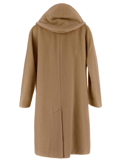 Shop Hevo Sava Coat In Brown