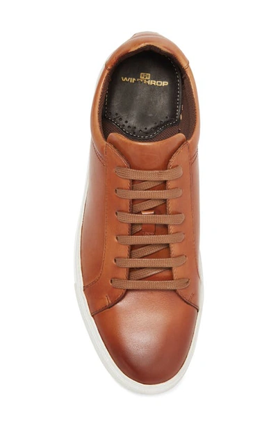Shop Winthrop Clay Leather Sneaker In Cognac