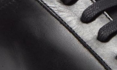 Winthrop Clay Leather Sneaker In Black