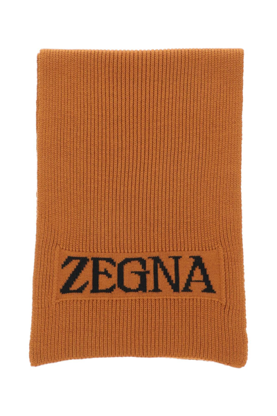 Shop Zegna Techmerino Scarf In Brown,black