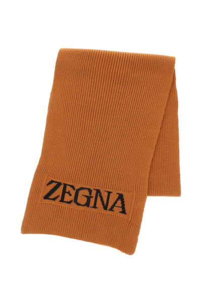 Shop Zegna Techmerino Scarf In Brown,black