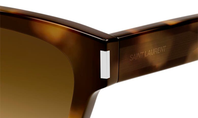 Shop Saint Laurent 54mm Square Sunglasses In Havana