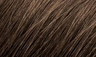 Shop Phyto Color Permanent Hair Color In 6 Dark Blond