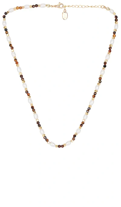 Shop Arms Of Eve Dante Necklace In Tigers Eye & Pearl