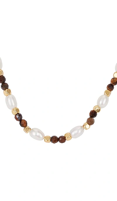 Shop Arms Of Eve Dante Necklace In Tigers Eye & Pearl