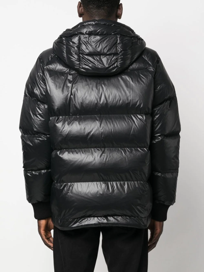 Dsquared2 Chest Logo-print Padded Jacket In Schwarz