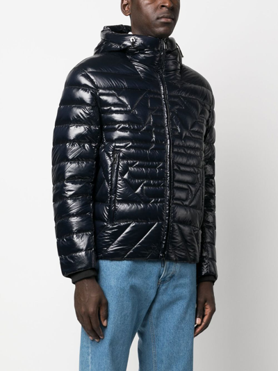 Shop Emporio Armani Logo-quilted Padded Jacket In Blau