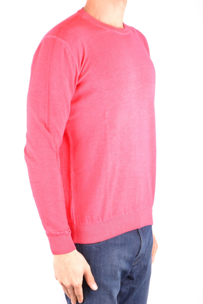 Shop Altea Sweater In Fuchsia