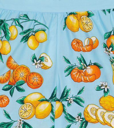 Dolce & Gabbana Kids Printed Cotton-poplin Shorts (2-6 Years) In Agrumi Fdo.azzurro