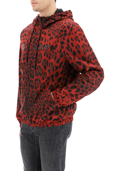 Shop Dolce & Gabbana Leopard Print Nylon Blouson In Rosso
