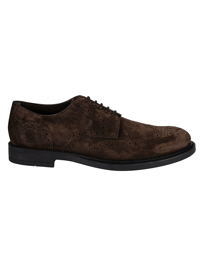 Shop Tod's Classic Perforated Derby Shoes In Marrone