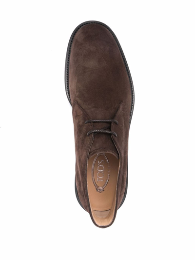 Shop Tod's Desert Boots In Brown Suede Tods In Blue