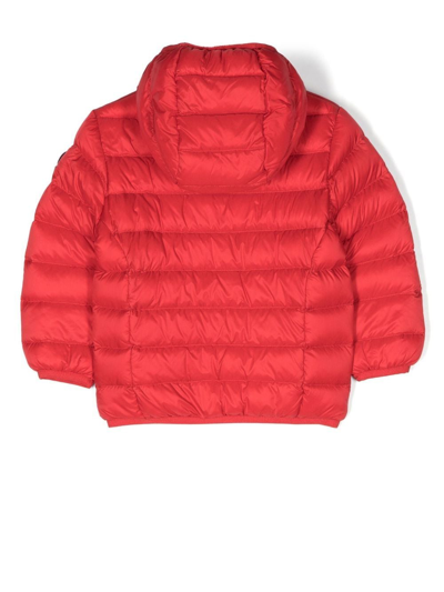 Ciesse Piumini Junior Padded Hooded Puffer Jacket In Red