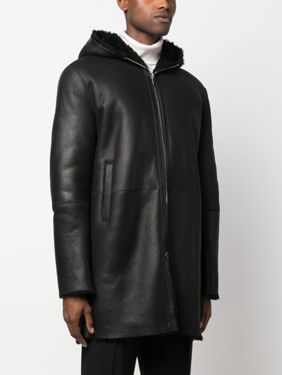 Shop Tagliatore Wilson Hooded Shearling Coat In Black