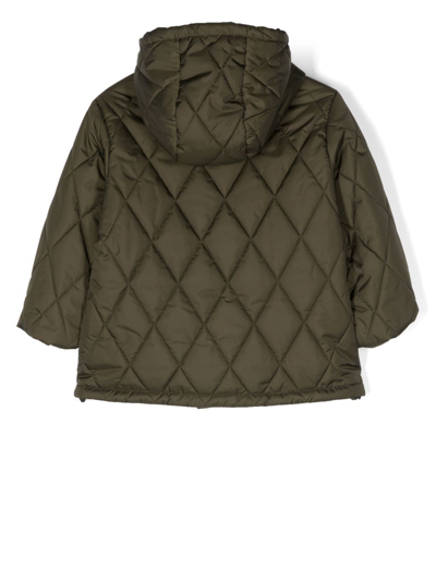 Shop Aspesi Diamond-quilted Padded Jacket In Green