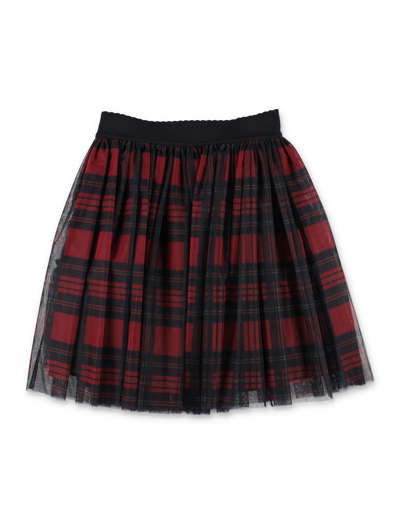 Shop Dolce & Gabbana Check Tulle Skirt In Multicolore