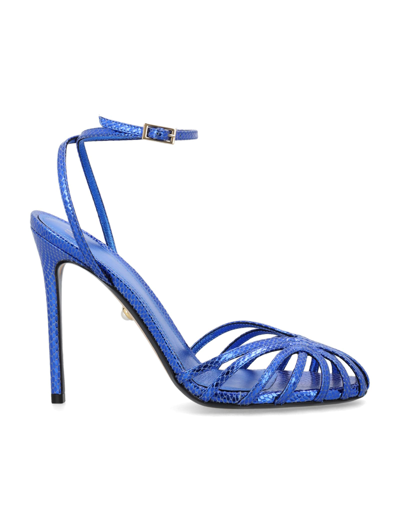 Shop Alevì Gloria Viper Print Sandals In Electric Blue