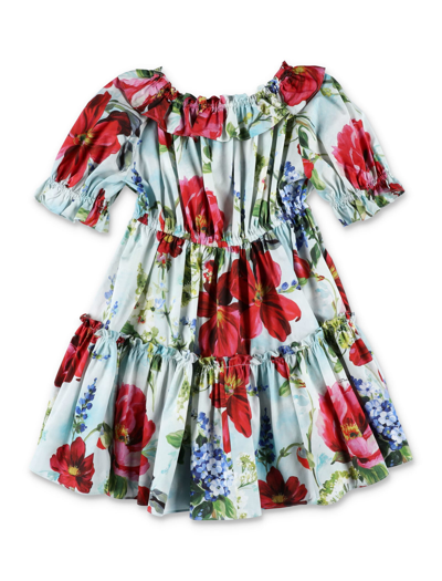 Shop Dolce & Gabbana Floral Print Dress In Flower