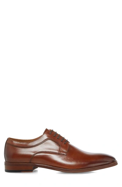 Dune London Sparrows Derby In Tan