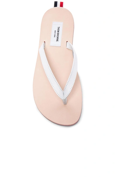 Shop Thom Browne Flip Flop Sandals In Multi