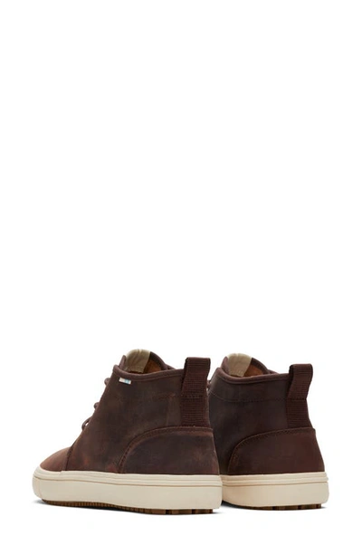 Toms Carlmi High Top Sneaker In Brown