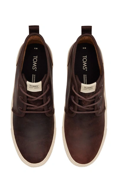 Toms Carlmi High Top Sneaker In Brown