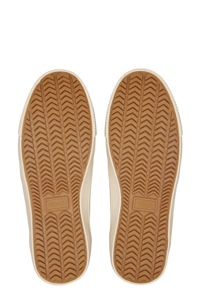 Toms Carlmi High Top Sneaker In Brown