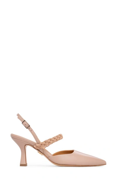 Shop Beautiisoles Celine Slingback Pointed Toe Pump In Nude Leather