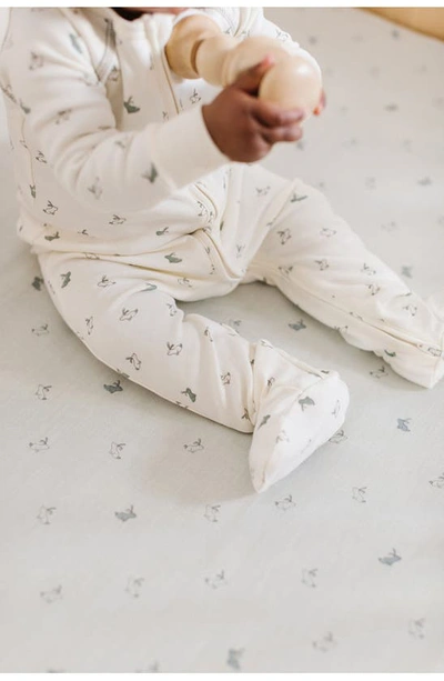 Shop Pehr Hatchlings Zip Fitted One-piece Organic Cotton Pajamas In Ivory Bunny