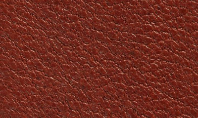 Raina Star Buckle Leather Belt In Cognac