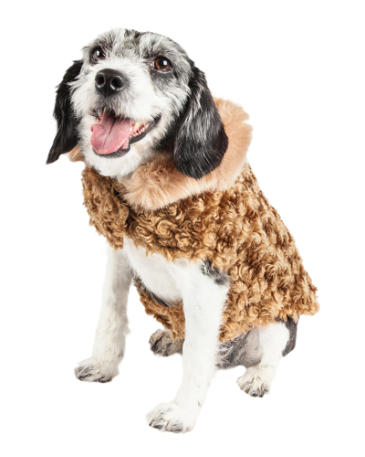 Shop Pet Life Luxe Furpaw Dog Jacket