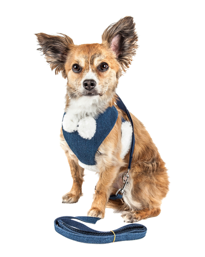 Shop Pet Life Luxe Pom Draper 2 In 1 Adjustable Dog Harness Leash With Pom Pom Bowtie