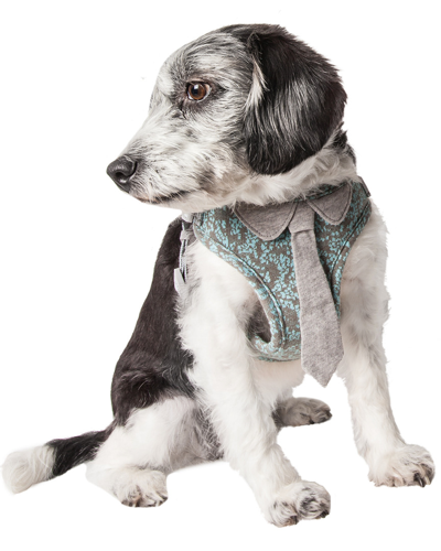 Shop Pet Life Swanky Swag Adjustable Dog Harness With Neck Tie