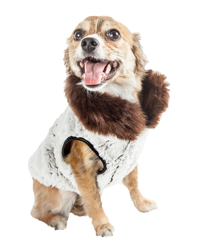 Shop Pet Life Luxe Purrlage Dog Jacket